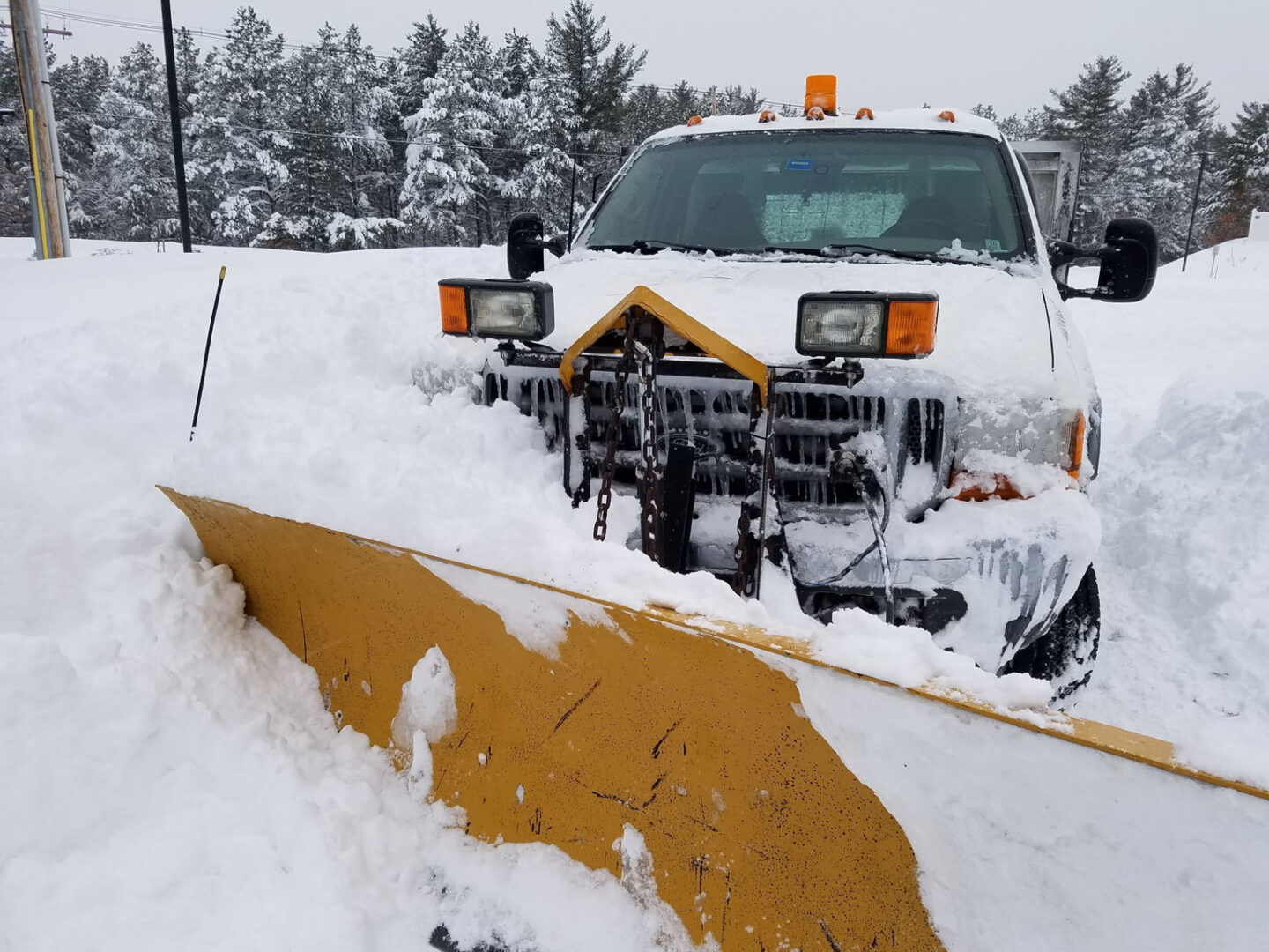 20170213 071956 gallery