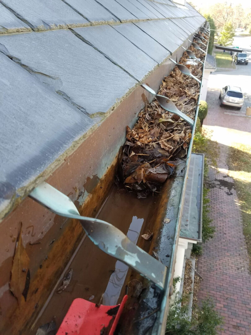 20171115 110400 2 rotated gallery