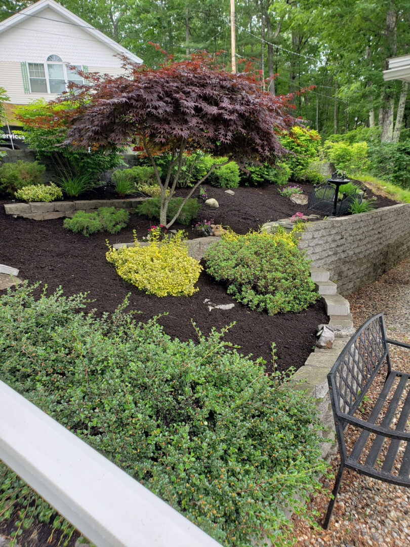 20190625 133059 rotated gallery