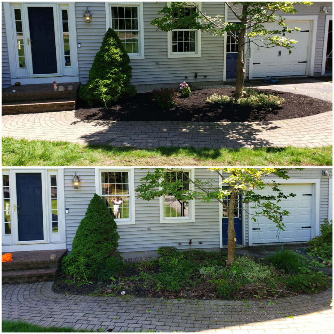 20200306 131111 1 gallery