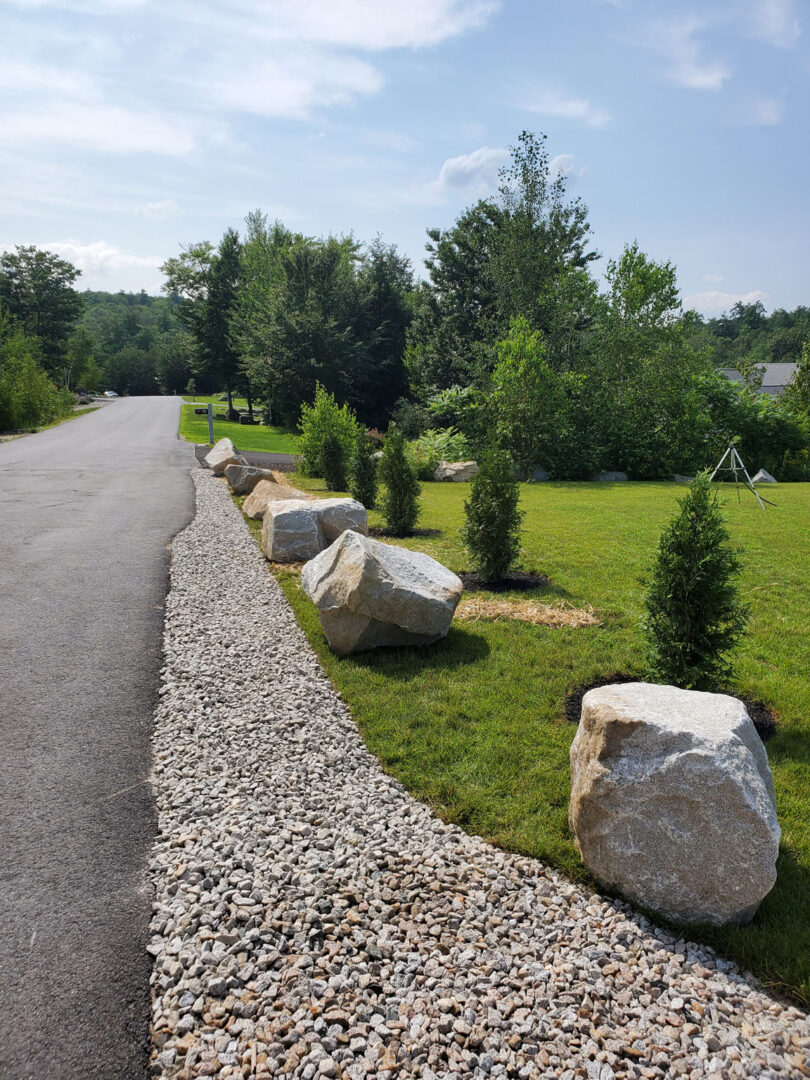 Boulder placement and tree plant